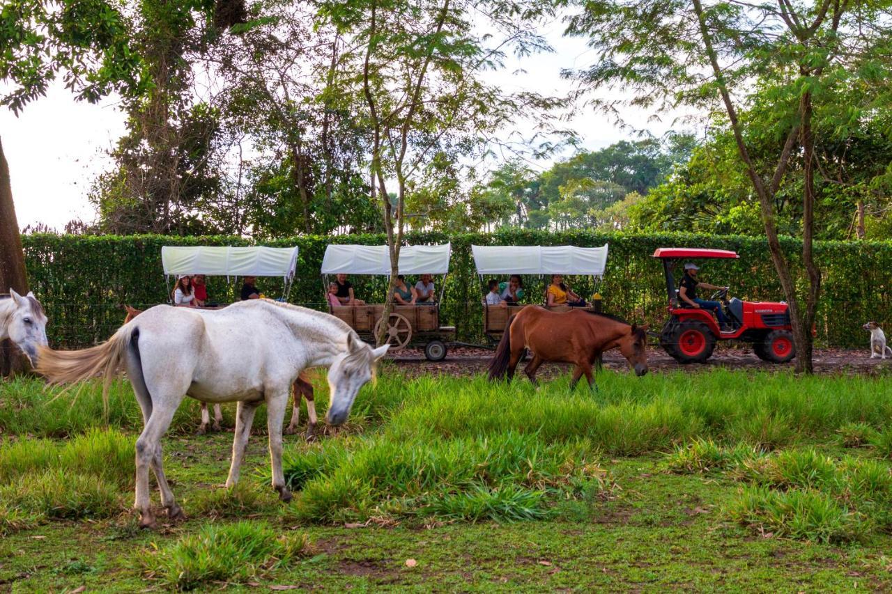 Hotel Campestre La Potra Apiay 外观 照片