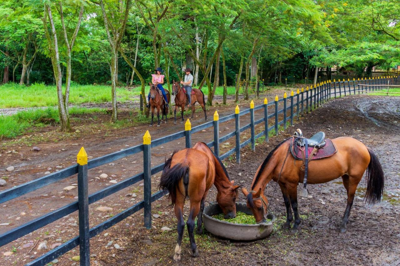 Hotel Campestre La Potra Apiay 外观 照片