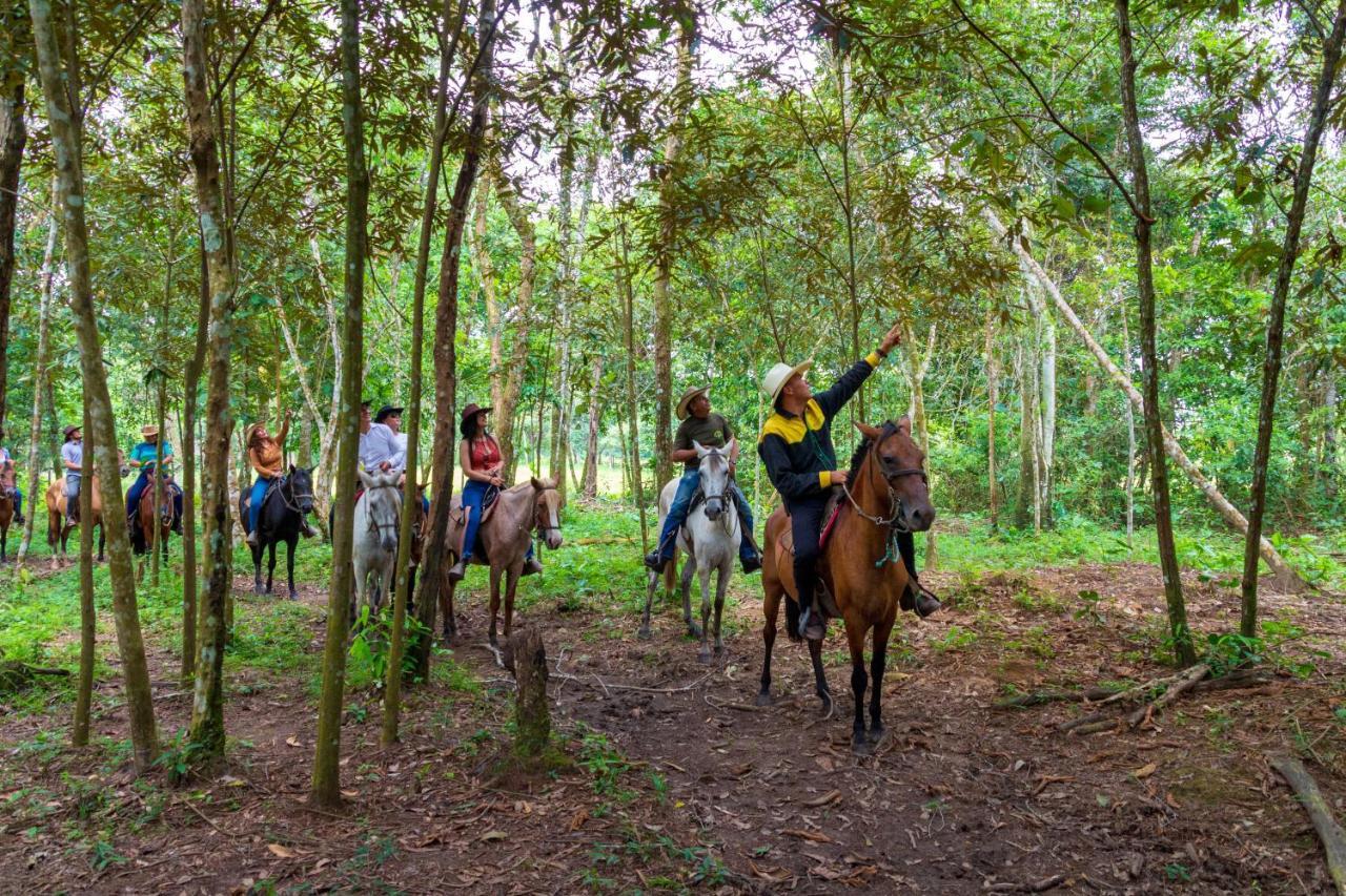 Hotel Campestre La Potra Apiay 外观 照片